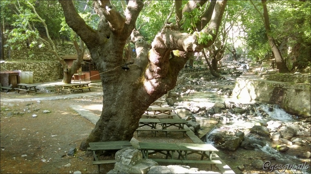Pınarbaşı Mesire Alanı