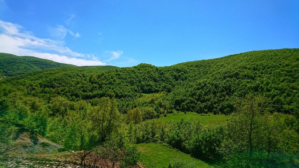 Ormanlı Köyü