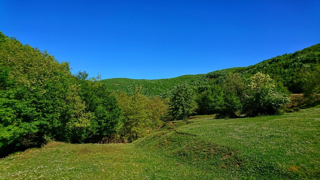 Ormanlı Köyü