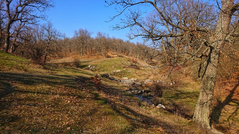 Teke Deresini oluşturan derelerden birkaçı